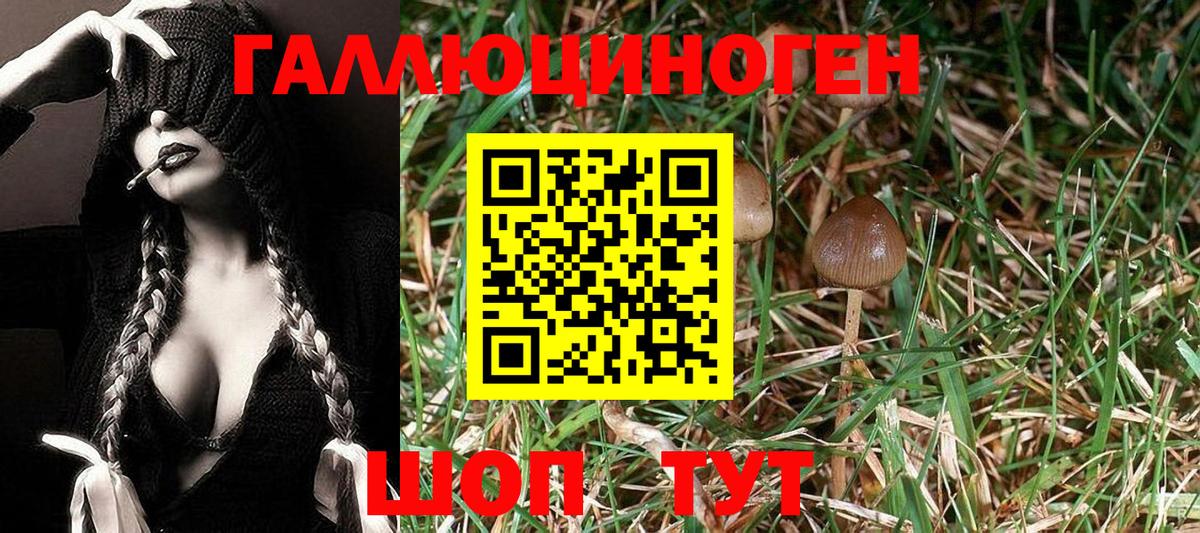 Галлюциногенные грибы мухоморы Барабинск